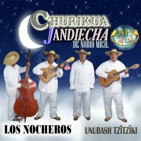 Download track Male Sara Los Nocheros De Nurio Michoacán