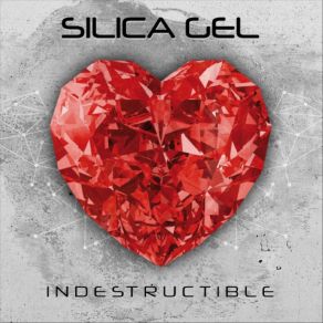 Download track Ni Tan Malo Ni Tan Santo Silica Gel