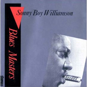 Download track It'S Rainy Outdoors Baby Sonny Boy Williamson