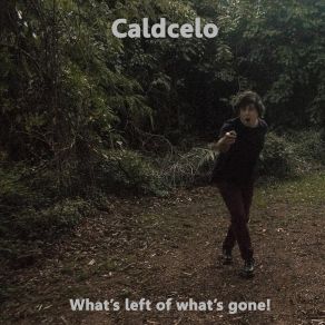 Download track What's Left Of What's Gone Caldcelo