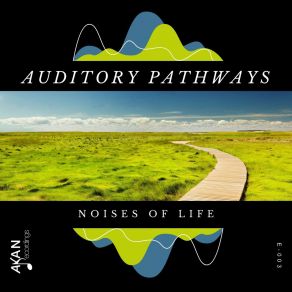 Download track Noise Therapy Auditory Pathways