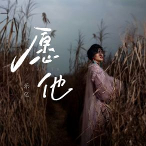 Download track 愿他 (和声伴奏版) Le Yi