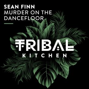 Download track Murder On The Dancefloor (Extended Mix) Sean Finn