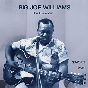 Download track Jump Baby Jump Big Joe Williams