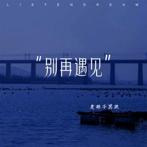 Download track 别再遇见 胡子老孩儿