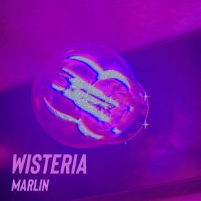 Download track Wisteria Marlin