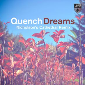 Download track Dreams (Nicholson's Extended Cathedral Remix) Quench