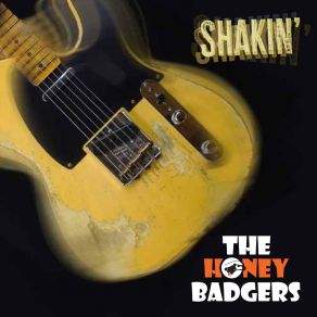 Download track The Woman I Love The Honey Badgers