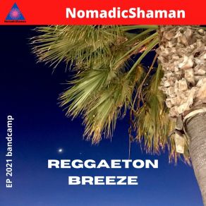 Download track Big Coconut Beach NomadicShaman