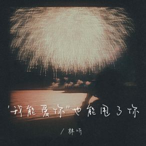 Download track 我能爱你也能甩了你（1.5x） Ting Lin