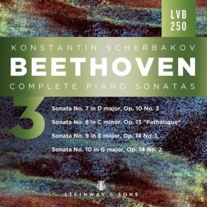 Download track Piano Sonata No. 10 In G Major, Op. 14 No. 2: I. Allegro Konstantin Scherbakov