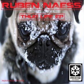 Download track My House (Original Mix) Ruben Naess