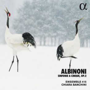 Download track Sinfonie A Cinque Per Due Violini, Alto, Tenore, Violoncello E Basso, Op. 2. Sonata A Cinque In G Major, Op. 2 No. 1 IV. Allegro Ensemble 415