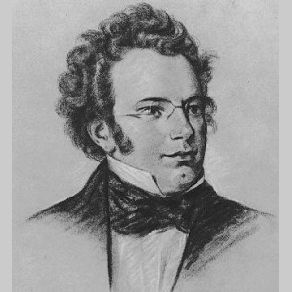 Download track Allegro Moderato Franz Schubert