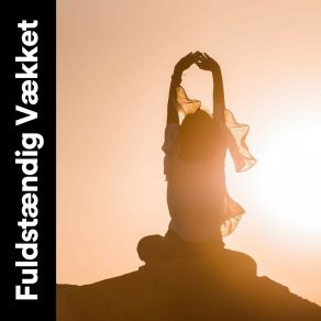 Download track Flyver I Himlen Meditationsmusik Romantik