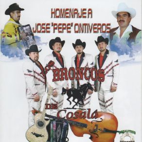 Download track Campamento De Hierba (Tololoche) Los Broncos De Cosala