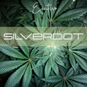 Download track Tryz Silverdot