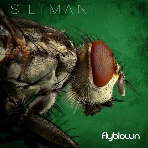 Download track Kill Or Destroy Siltman