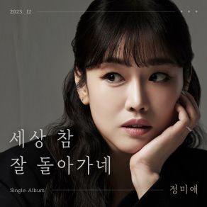 Download track A Despondent Life Jeong Mi Ae