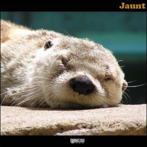 Download track Daybreak Jaunt