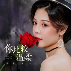 Download track 你比较温柔 (伴奏版) 熙露