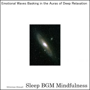 Download track Journey Within Through Soundscapes Of Deep Mental Healing Sleep BGM Mindfulness