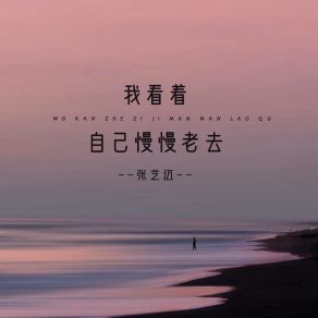 Download track 我看着自己慢慢老去 张艺迈