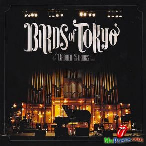 Download track Broken Bones Birds Of Tokyo