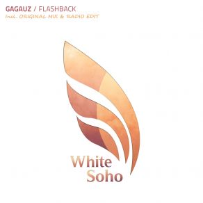 Download track Flashback (Radio Edit) Gagauz