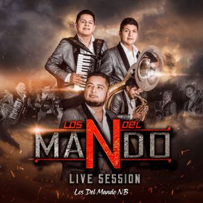 Download track Esta Noche Tu Vendrás (En Vivo) Los Del Mando NB