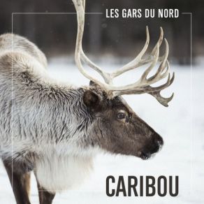 Download track 23 Décembre Les Gars Du Nord