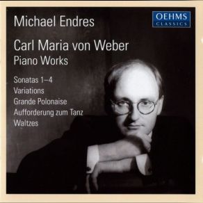 Download track Piano Sonata No. 3 In D Minor Op. 49 - I. Allegro Feroce Michael Endres