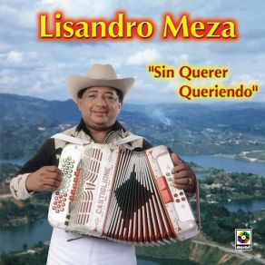 Download track Desde Que Se Fue Lisandro Meza