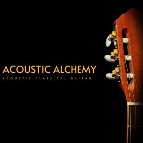 Download track Warm Rays Acoustic Classical Guitar