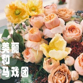 Download track 温柔和傻子 夹谷长