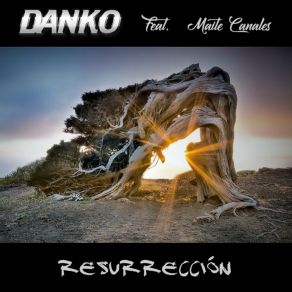 Download track Déjate Llevar DankoMaite Canales