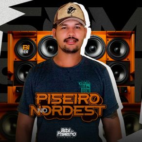 Download track Piseiro No Nordeste Bibi Do Piseiro