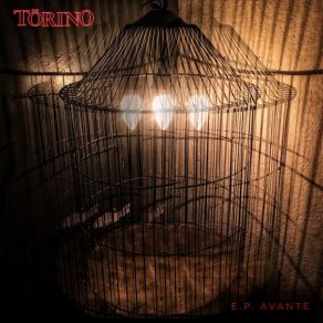 Download track No Tengas Miedo Torino