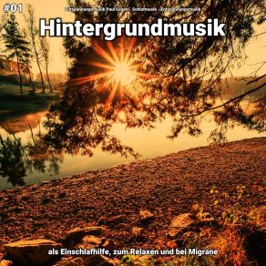 Download track Hintergrundmusik Pt. 82 Entspannungsmusik