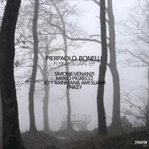 Download track Flying Again (FnKey Remix) Pierpaolo Bonelli