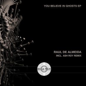 Download track You Believe In Ghosts (Ash Roy Remix) Raul De Almeida