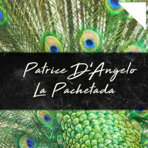 Download track Respire (Original Mix) Patrice D'Angelo