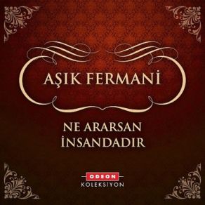 Download track Ne Ararsan İnsandadır Aşık Fermani