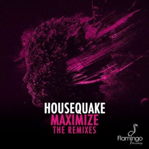 Download track Maximize (Roul And Doors Remix) HousequakeRoul & Doors