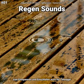 Download track Regen Sounds, Pt. 57 Regengeräusche