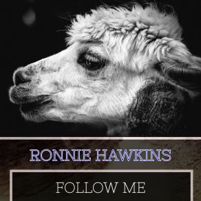 Download track Brave Man Ronnie Hawkins