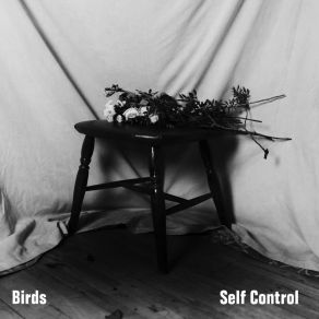 Download track The River's Mouth The Birds