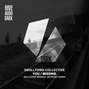 Download track Missing (Extended Mix) Smalltown Collective