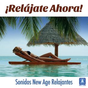 Download track Música New Age Relajación, Guitarra AcusticaDirection Relax