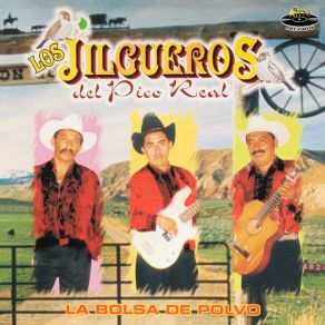 Download track La Muñeca De Iguala Los Jilgueros Del Pico Real